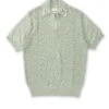 Short Sleeve Penhale Polo Shirt Tamar Pale Green -Mizuno Men Clothing Shop FlatOSMK747ShortSleevePoloShirtTAM01PAGTamarPaleGreen