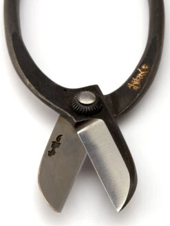 Niwaki Sentei Ikebana Scissors Black -Mizuno Men Clothing Shop NiwakiGardenSecateurs2