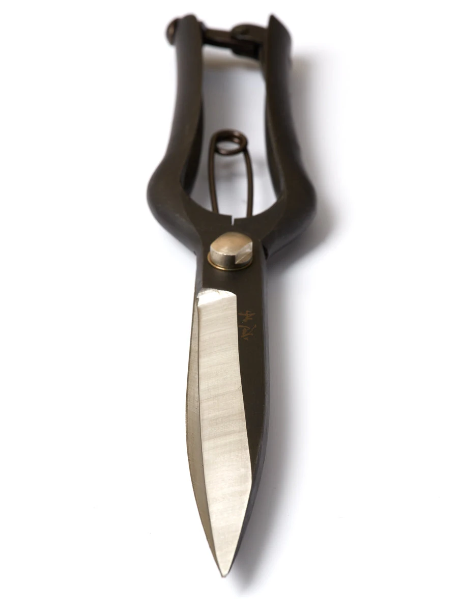 Niwaki Sentei Topiary Clippers 4 Niwaki Sentei Topiary Clippers - Image 2