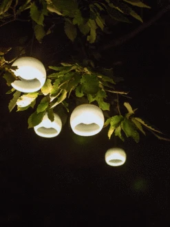 Snow Peak Hozuki Light -Mizuno Men Clothing Shop Snow Peak Hoz