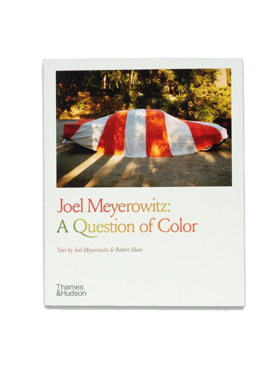 A Question Of Colour - Joel Meyerowitz 3 A Question Of Colour - Joel Meyerowitz
