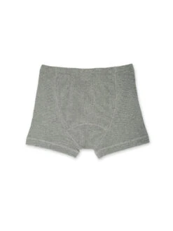 Hemen Biarritz Albar Grey Organic Cotton Boxer Brief -Mizuno Men Clothing Shop hemen albar boxer grey0308